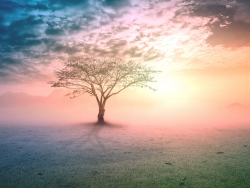 Connect With Your Soul's Purpose by Following Your Spirit