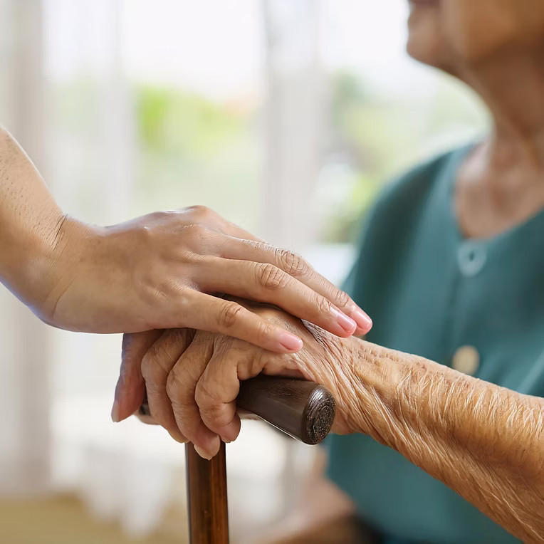 Caregiver Service