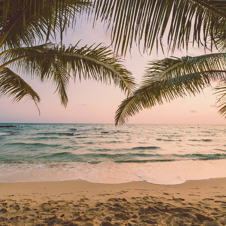 Rejuvenation Retreats