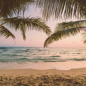 Rejuvenation Retreats
